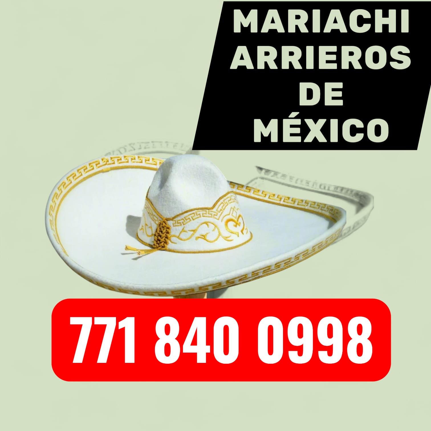Mariachi Arrieros de Mexico