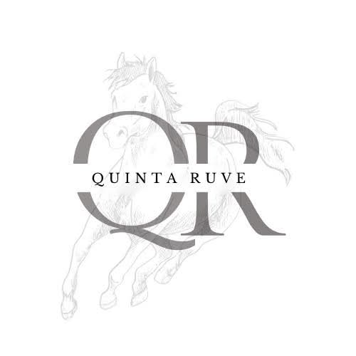 Mini Quinta RUVE
