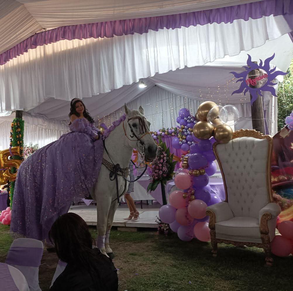 Renta de Caballos JM XV años, bodas bautizos etc